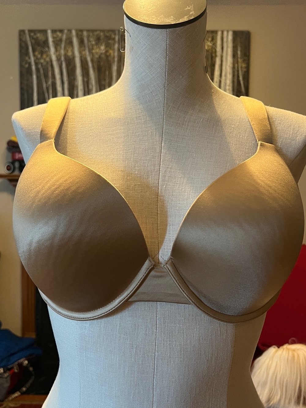 Soma Smooth Molded Underwire Bra - Beige